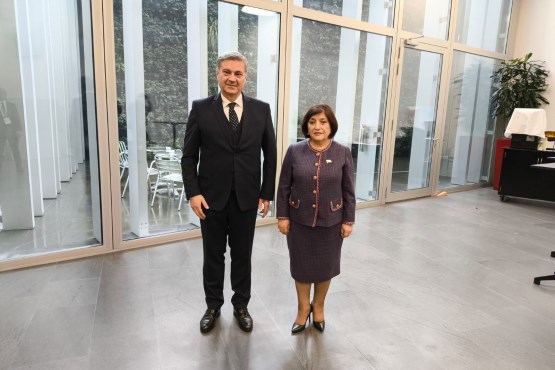 Zamjenik predsjedatelja Zastupničkog doma PSBiH dr. Denis Zvizdić sastao se u Ženevi s predsjednicom Narodne skupštine Republike Azerbajdžan